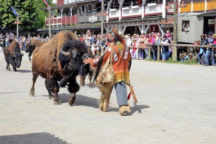 Harz Holiday Park, 하셀펠데 외부 사진